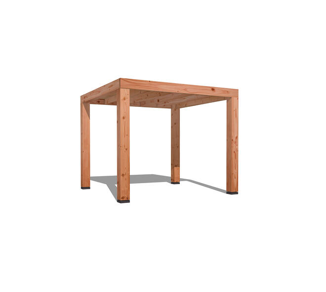 Douglas Overkapping Strak 3x3m. | Type 01 01